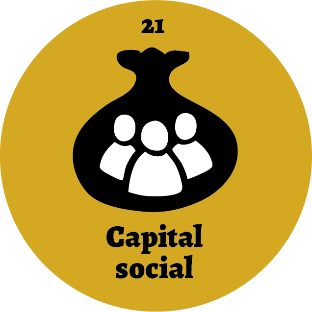 Panóptico 21 Capital social
