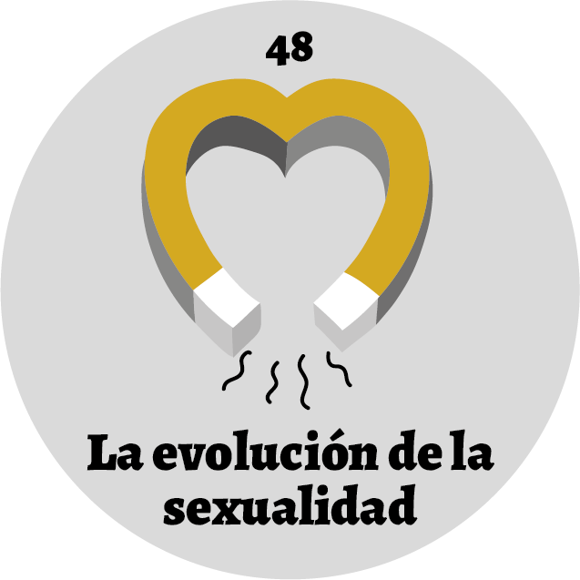 La evolución de la sexualidad portada Panóptico 48